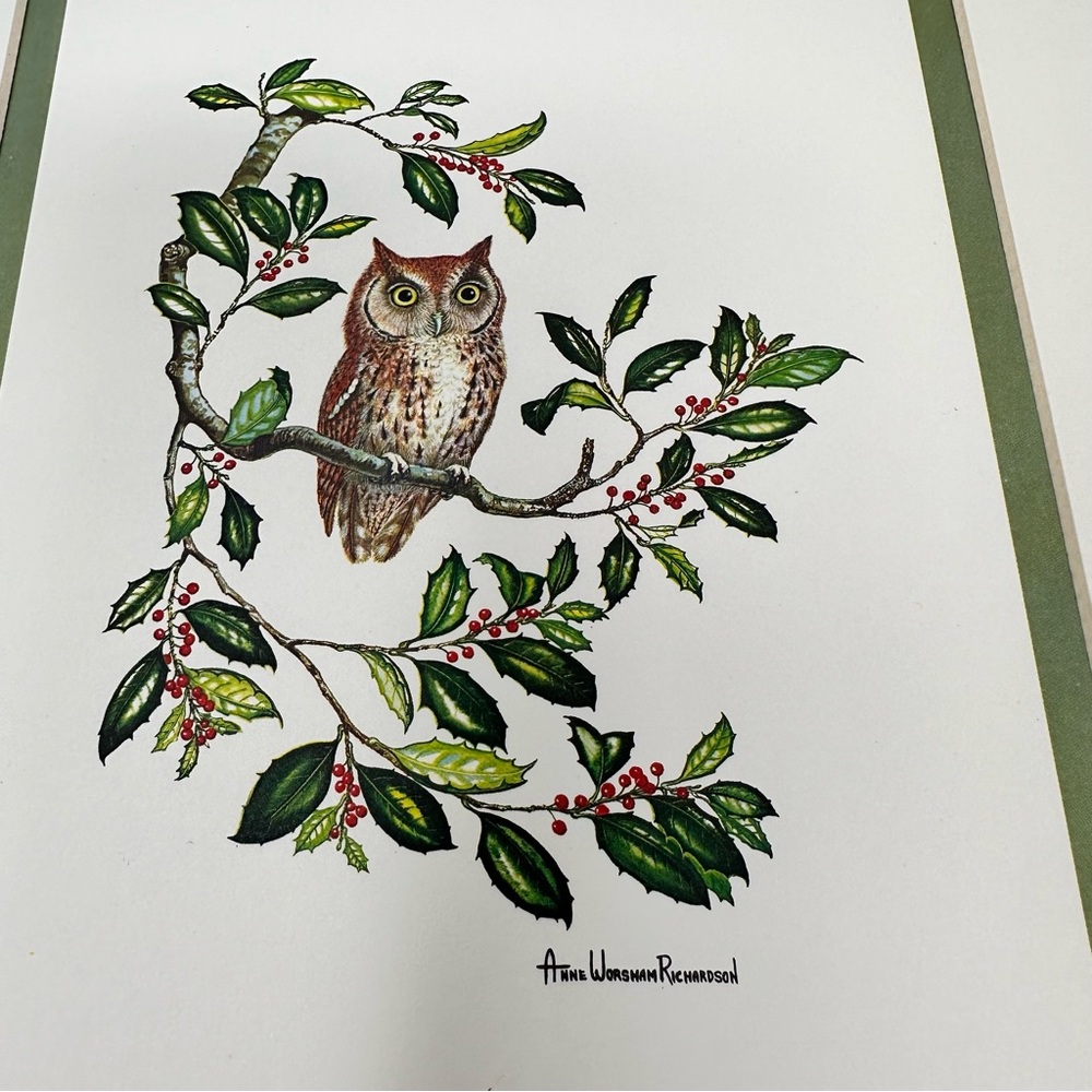 Anne Worsham Richardson Screech Owl and Saw Whet Owl
Signed Prints - Picture 4 of 16